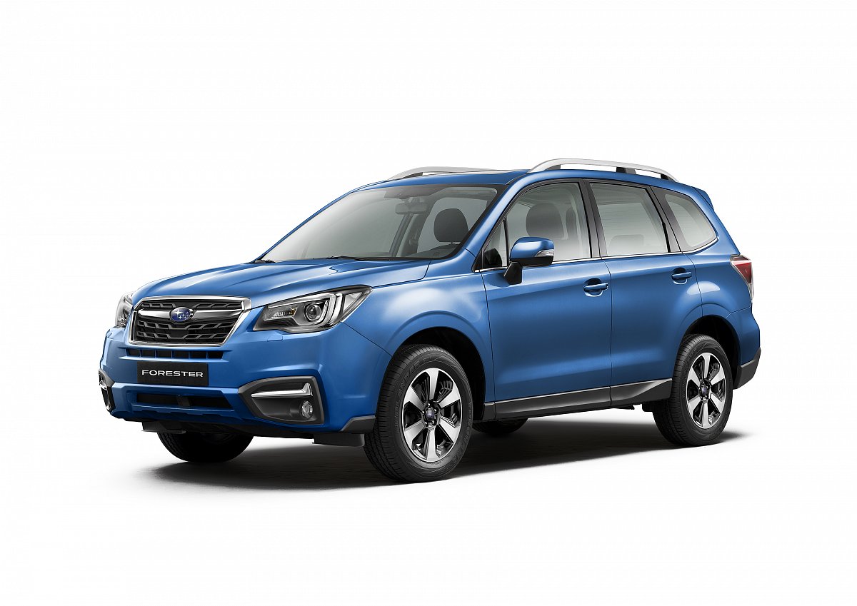16FORESTER_EC_0190BP.jpg