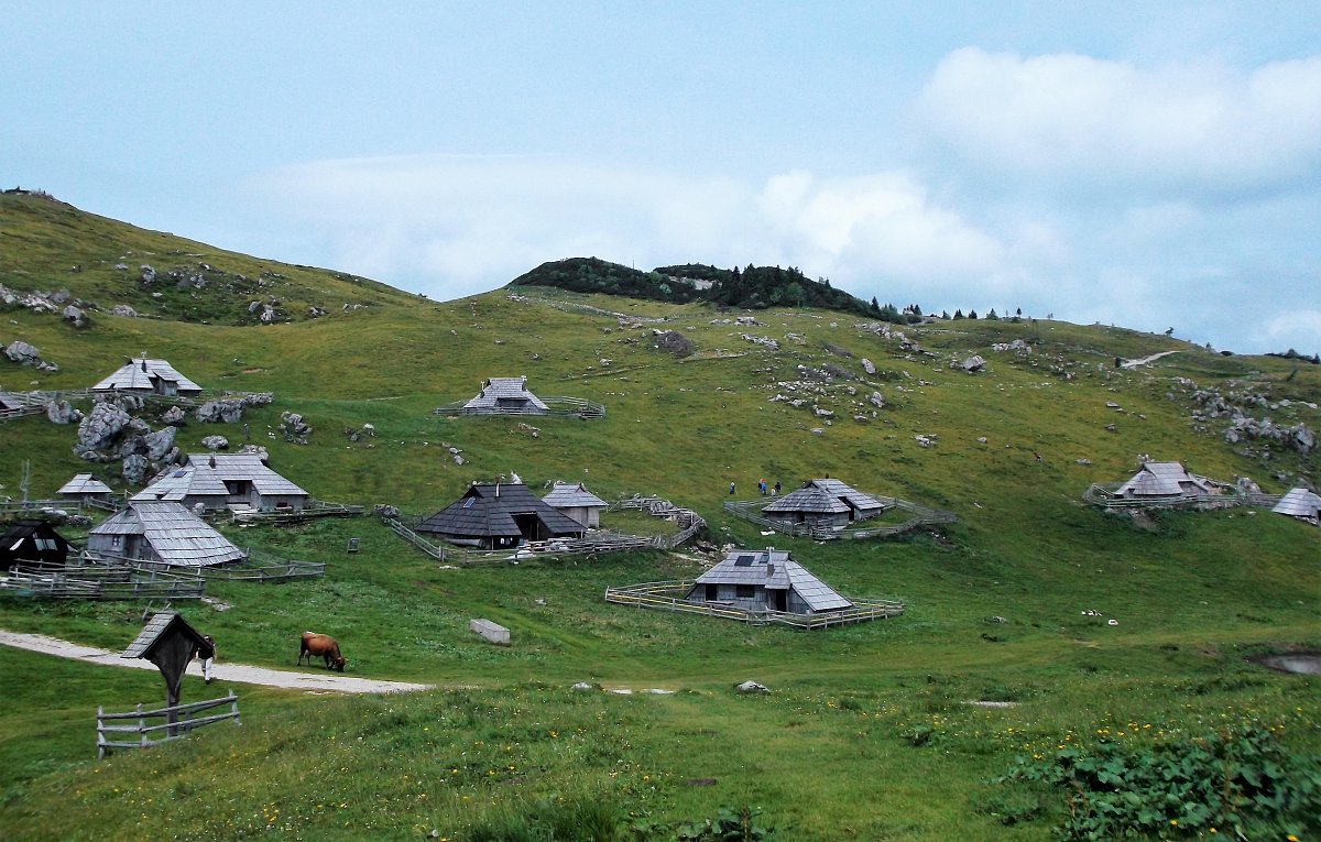 Fotohádanka: rozluštění