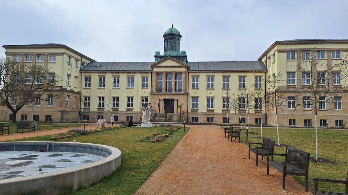 20250326-100910.jpg