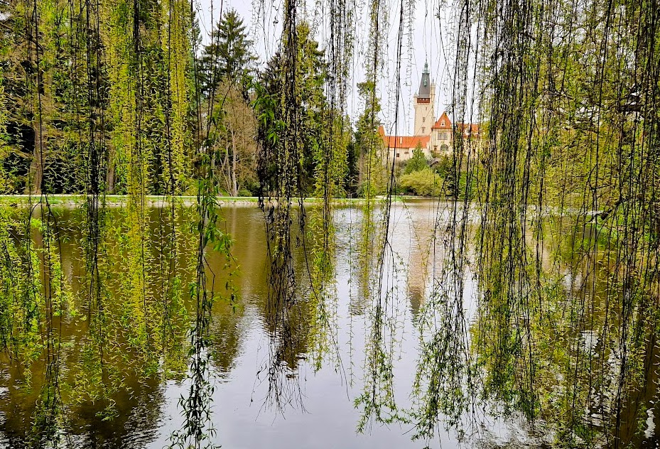 FOTO DNE 27.4.: Daniela Řeřichová - Průhonice za oponou