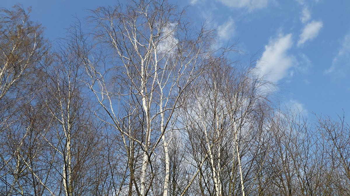 Jarní sprintování