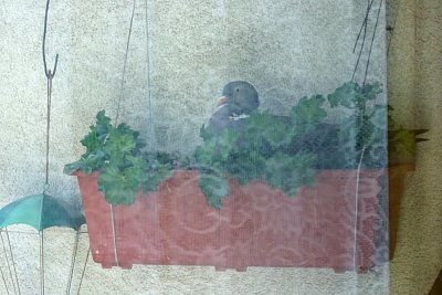 02-164.jpg