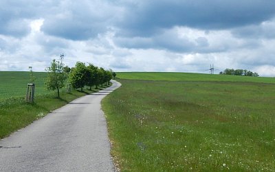 Některé prohřešky proti českému jazyku by měly být trestným činem