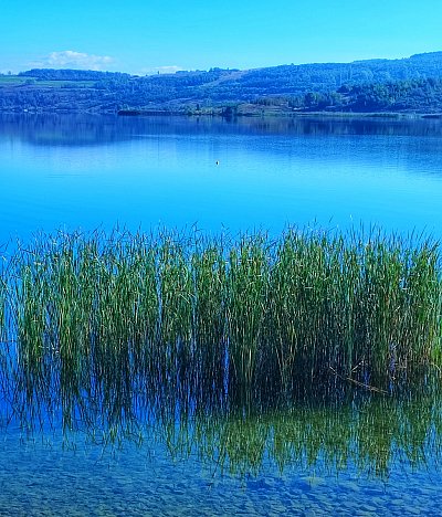 Jezero Most