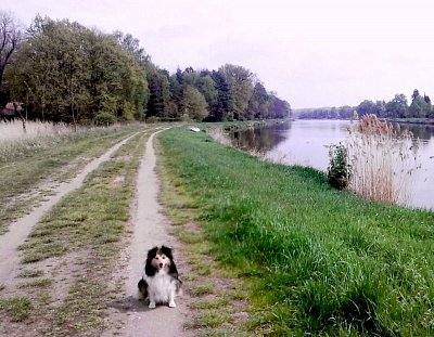11.-u-labe-v-celak..jpg