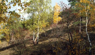 12.-dsc01059.jpg