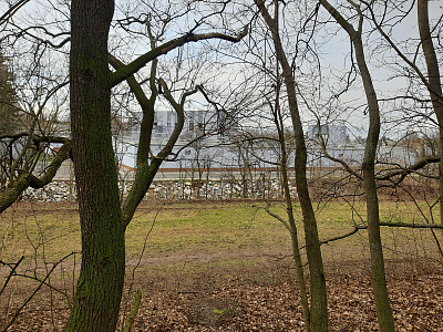 14.-cisticka.gif
