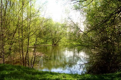 17-jezirko-pod-bilou-strani.jpg