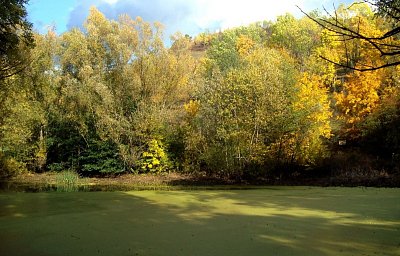 2.-u rybníka