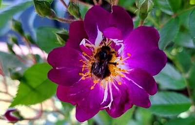 20230617-112013-1.jpg