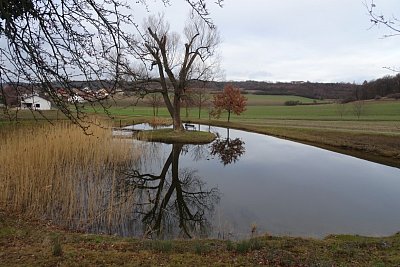 22-vesecky-rybnicek.jpg