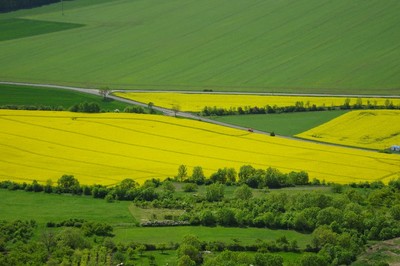 23-zlutozelena.jpg
