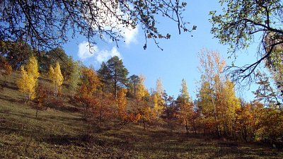 29.-dsc01066.jpg