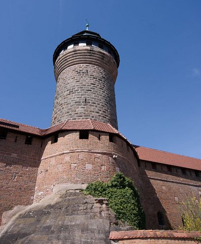 31