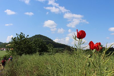 Pod Borečem
