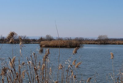 Ostrůvek