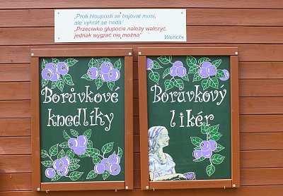 Vše z borůvek