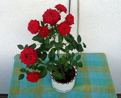 Památeční