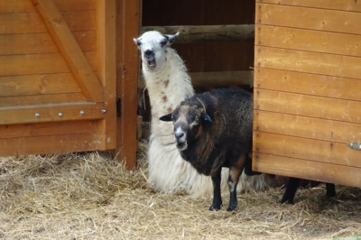 Zoo Tábor