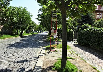 DSC02272 (2).JPG