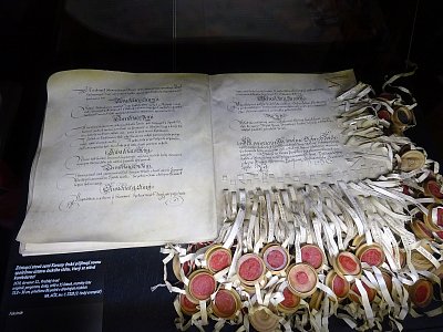Vzácná *