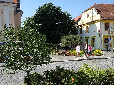 Týnské stromy