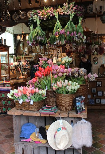 Kupte si tulipány