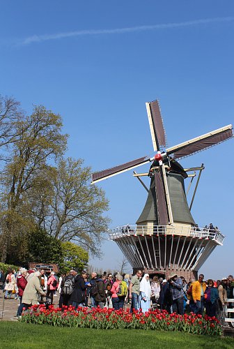 Mlýn
