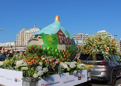 Cibulka tulipánu