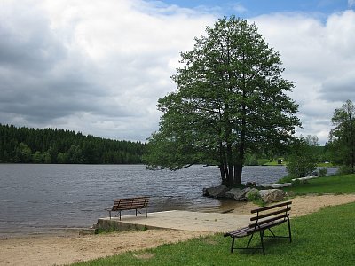 Rybník Medlov