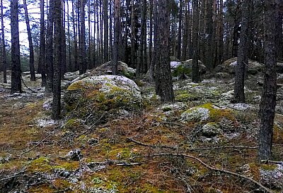 Já turista aneb Zápisky skeptika 