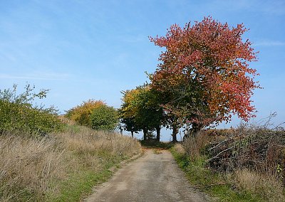 Vysočinou
