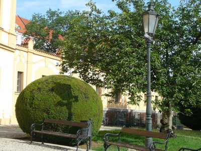 Stín