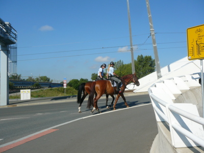 Dámská jízda