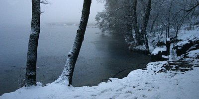 Zima