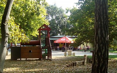 dsc00030.jpg