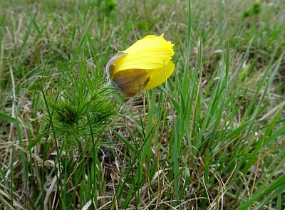 dsc00983.jpg
