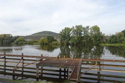 dsc02146.jpg