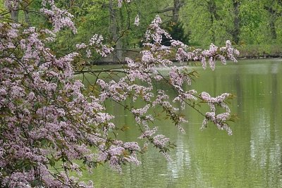 dsc03112-1.jpg
