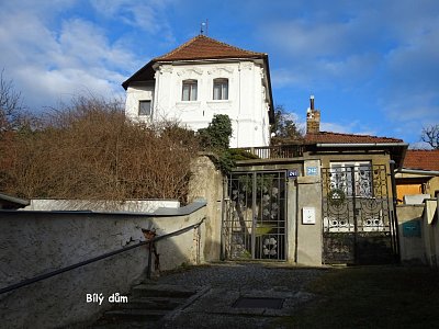 dsc03823-1.jpg