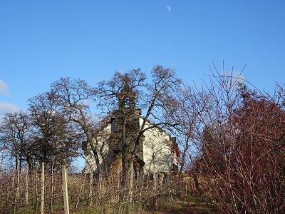 dsc04350.jpg