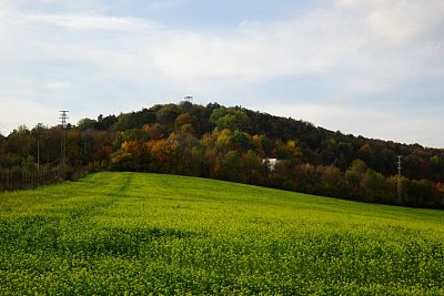 dsc04767.jpg