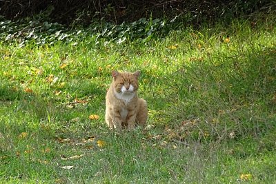dsc04812-1.jpg