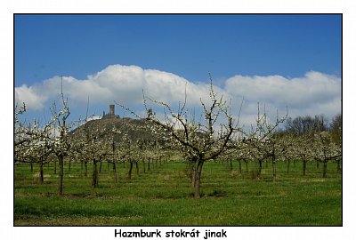 dsc07913-1.jpg
