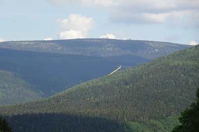 dsc08075.jpg