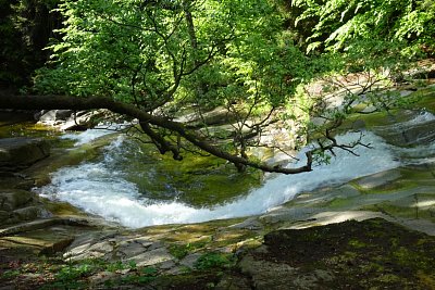 dsc08120.jpg