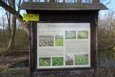 dsc08204.jpg