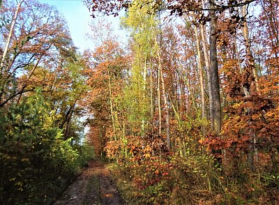 dsc08271.jpg