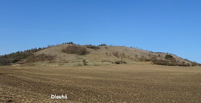 dsc08670.jpg