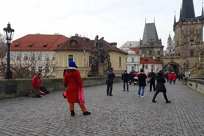 dsc09679.jpg